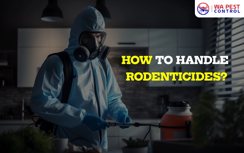 how to handle rodenticides