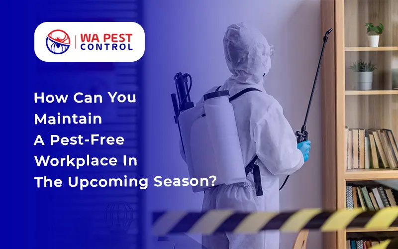 Maintain A Pest-Free Workplace